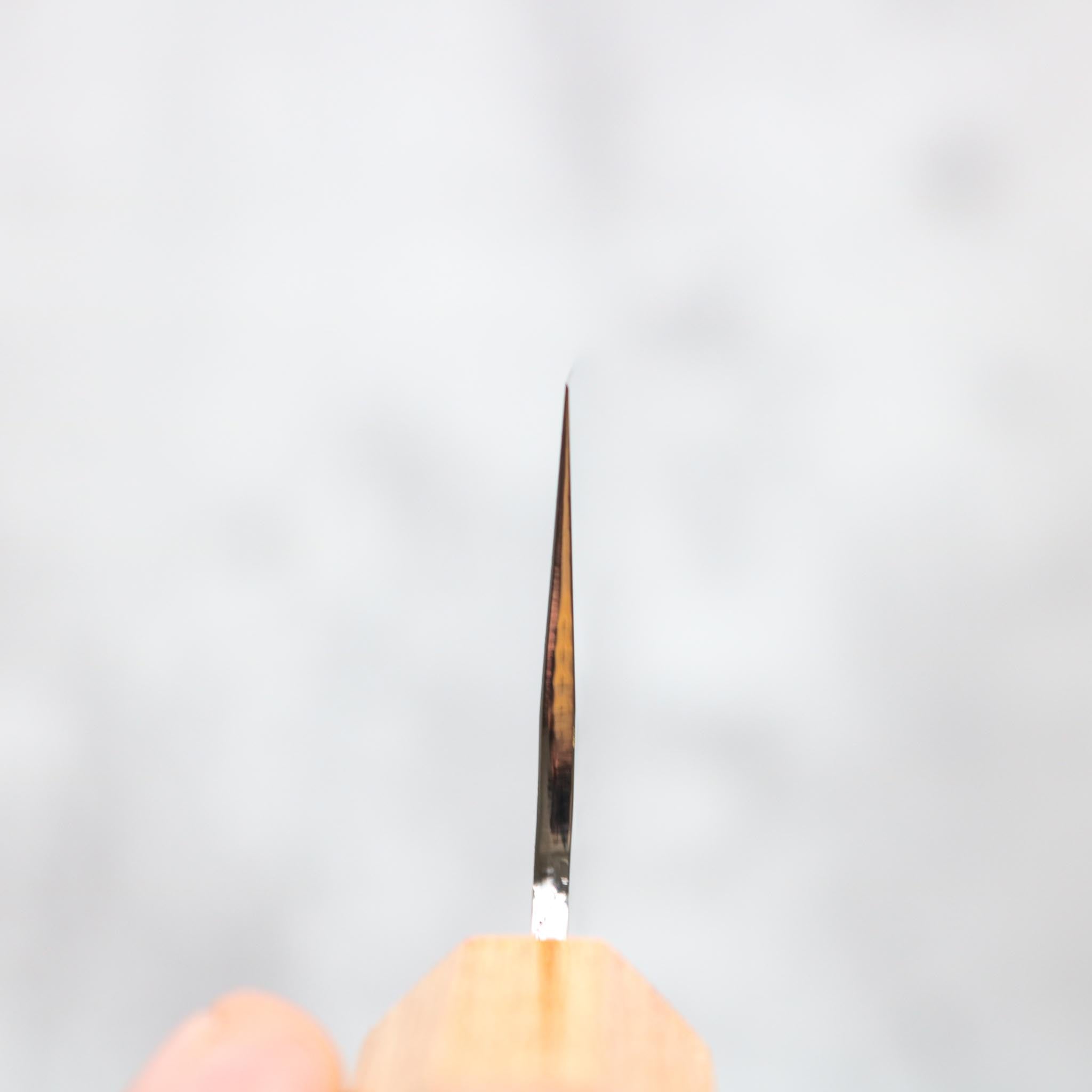 Makoto Kurosaki Gyuto 210 mm